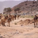 F BBA 2018 998 Paysages marocains- Vietnam