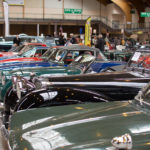 orléans salon 2019 391-