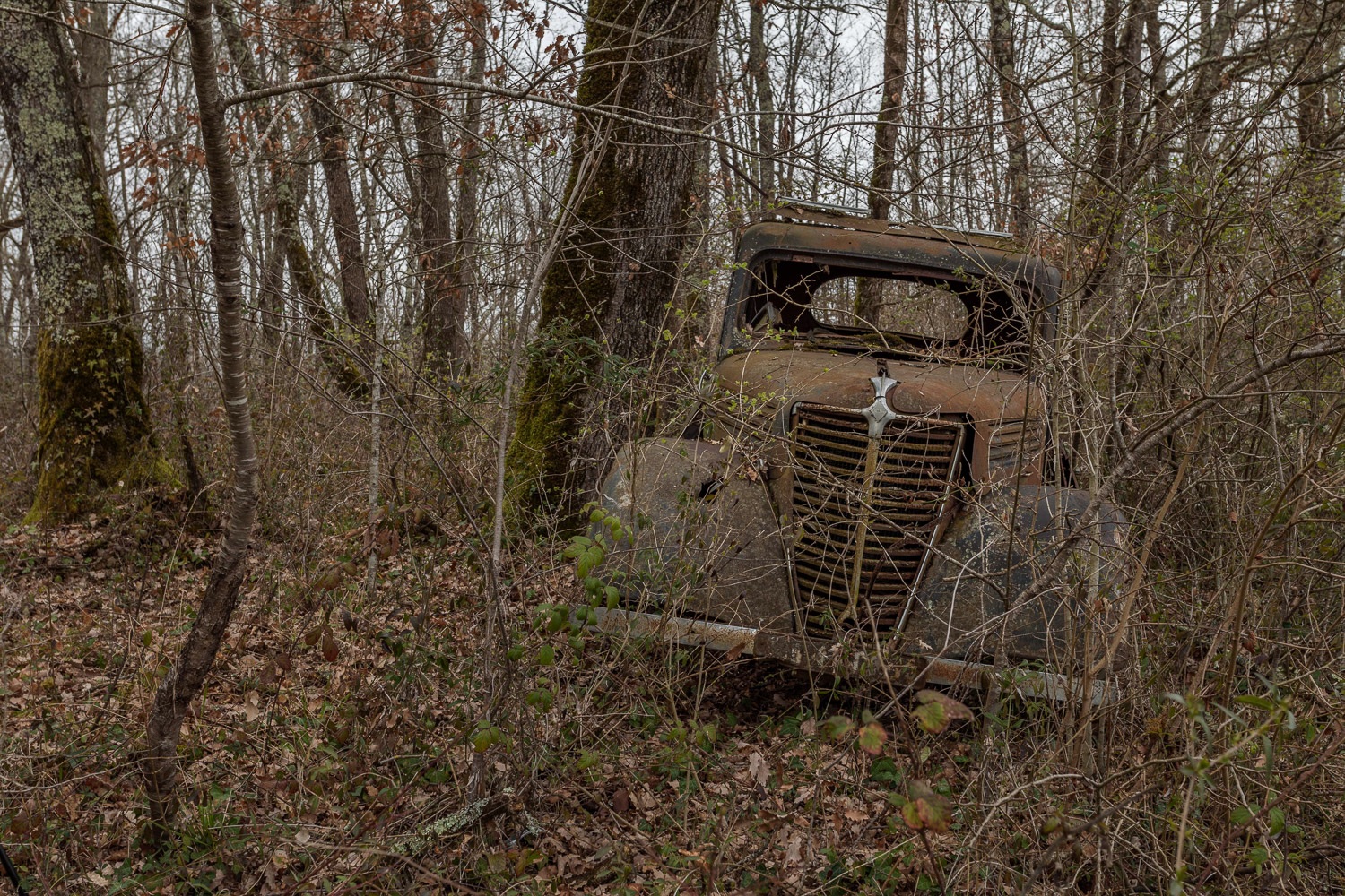 Nos Anciennes Abandonnées : Traction et Primaquatre… forestières !