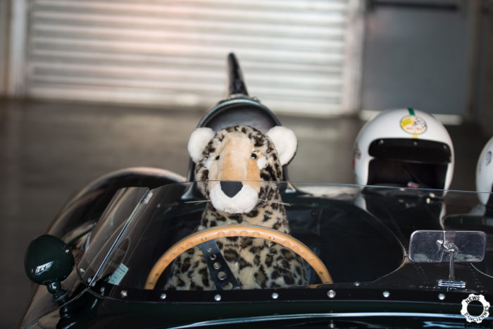 classic days 2019 13- Classic Days 2019
