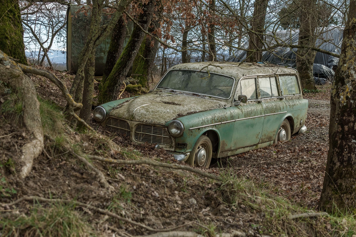 Nos Anciennes Abandonnées : la Volvo Amazon de retour en forêt