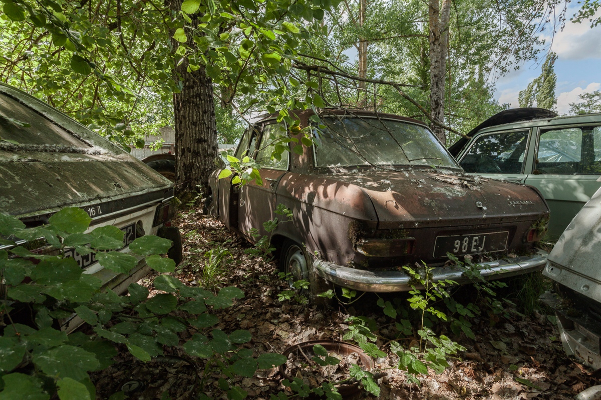 Nos Anciennes Abandonnées : au hasard des broussailles