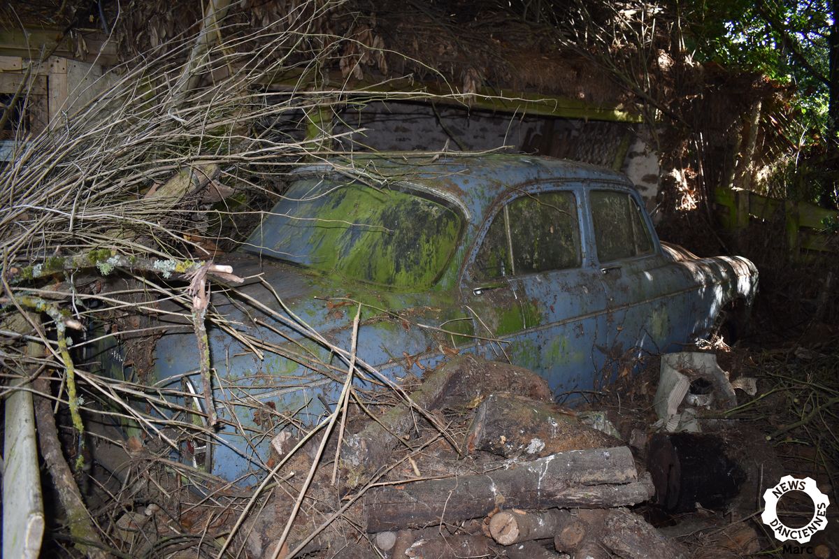 Nos Anciennes Abandonnées : une Simca Etoile 6 à rallumer