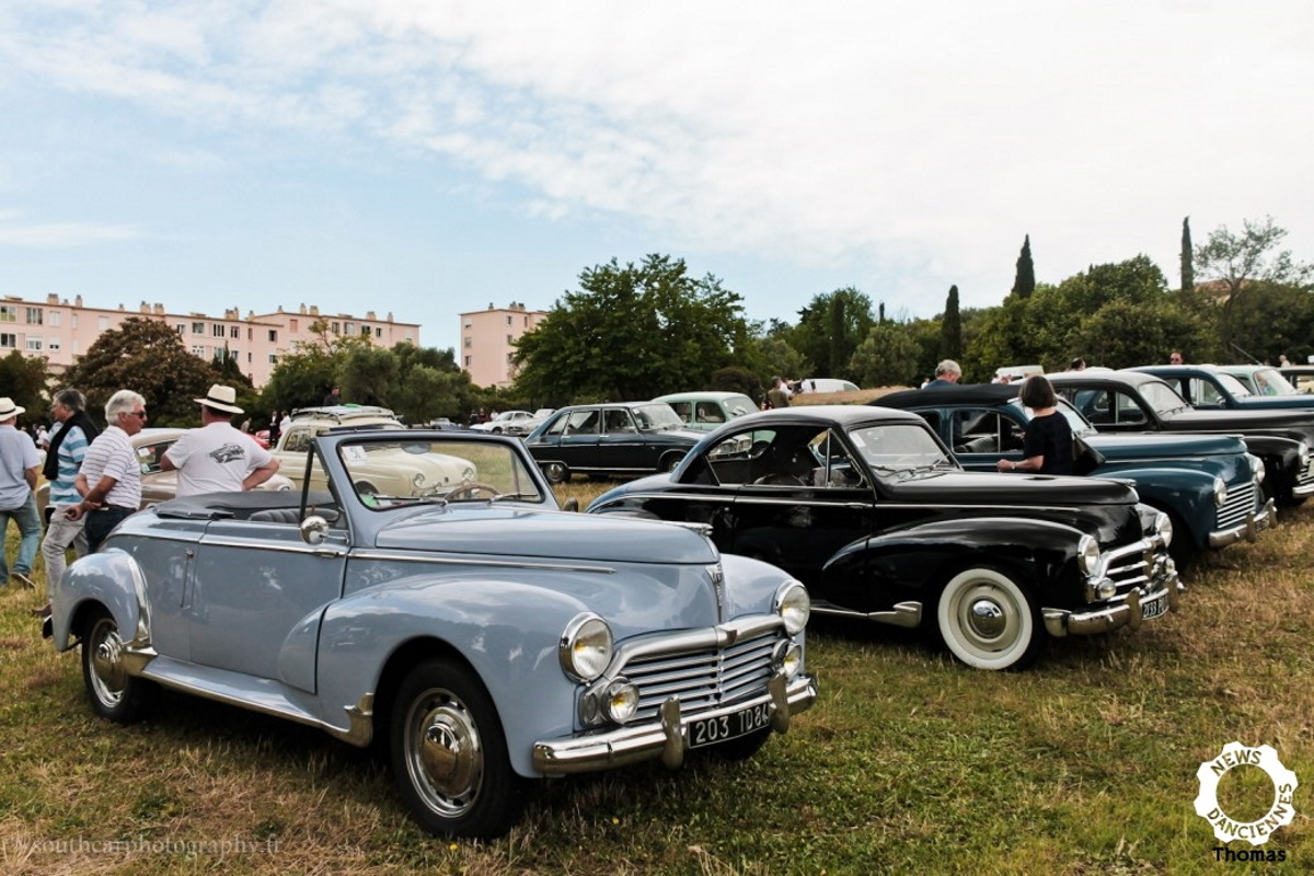 Peugeot 203 Coupé, Cabriolet et Découvrable, mi-popu, mi-rareté