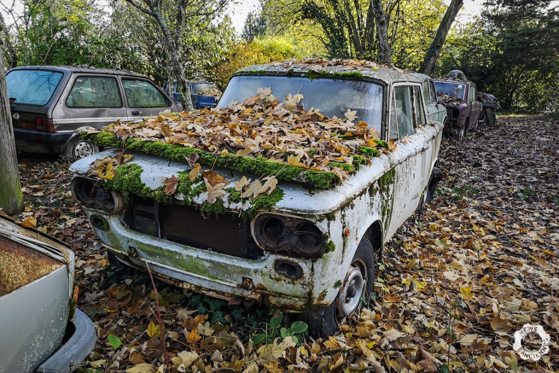 Une épave ou une sortie de grange pour restaurer son ancienne ?
