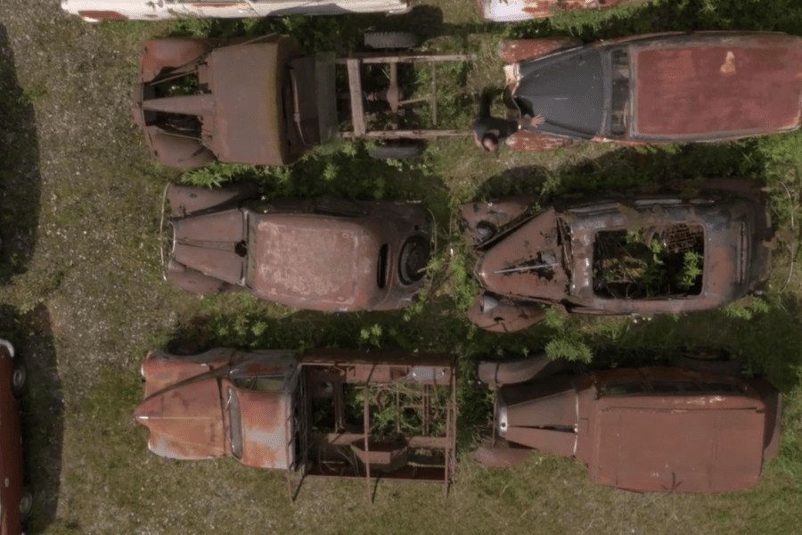 Les Belles Voitures au Bois Dormant, un magnifique reportage à découvrir