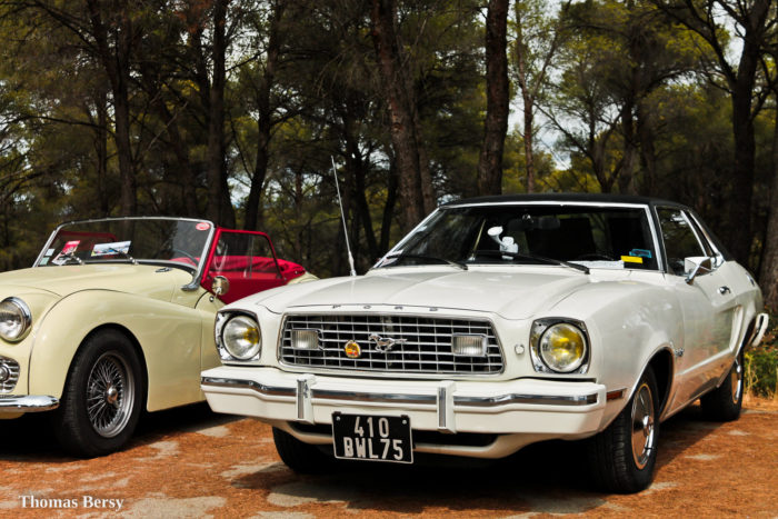 49910041168 b2a39dbdb4 h- Mustang