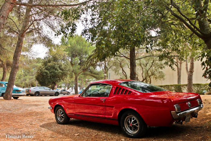 49914079568 bb68e71b4d h- Mustang