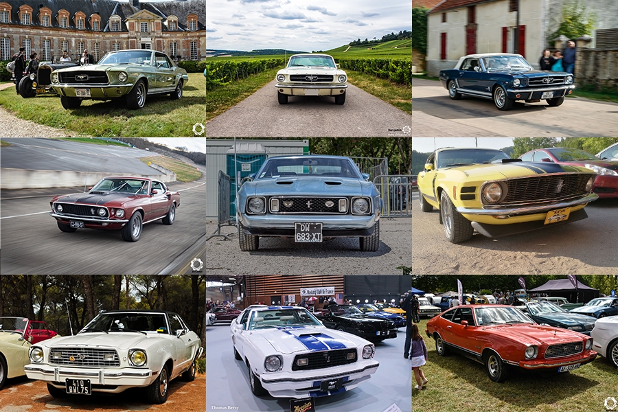 Ford Mustang MkI & II, cheval en liberté !