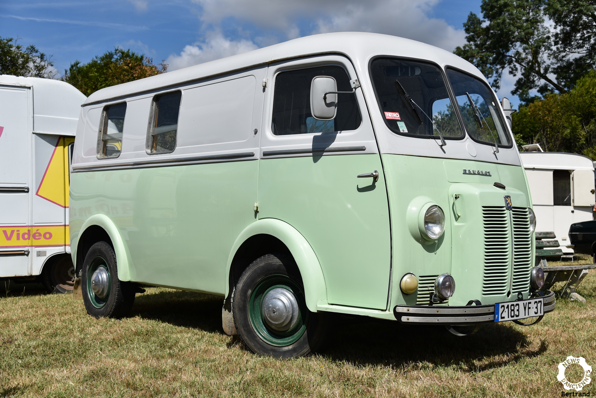 Peugeot D3 et D4, le « Nez de Cochon » n&rsquo;est pas complètement un lion