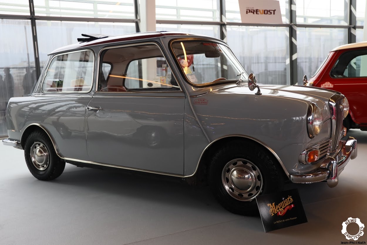 Riley Elf, Wolesley Hornet, Innocenti, Kangaroos, coup d’œil sur les « autres » Mini !
