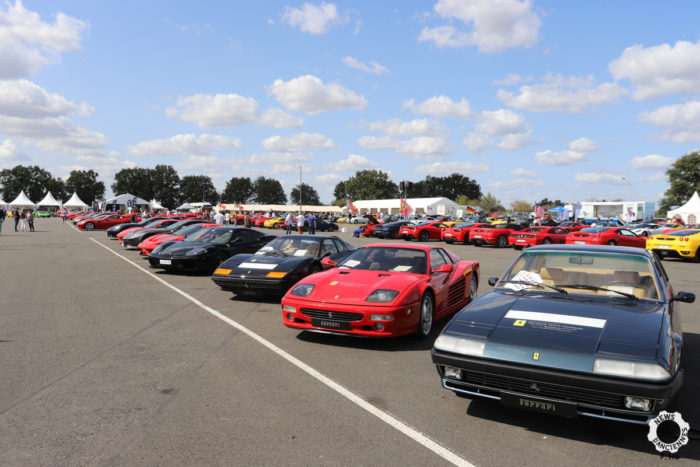 Sport et Collection 2020 Patrick S1 35- Sport et Collection 2020
