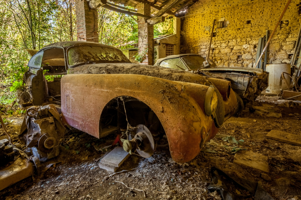 Nos Anciennes Abandonnées : le nid