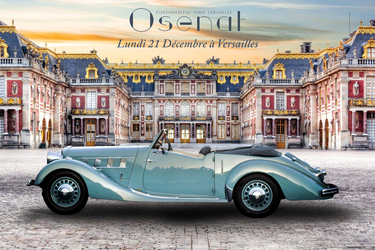 Les 14 belles de la première Vente Osenat de Versailles