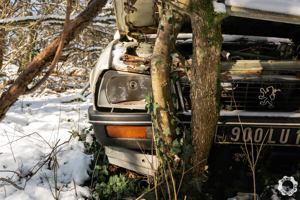 Nos Anciennes Abandonnées : la 505 et son blanc manteau