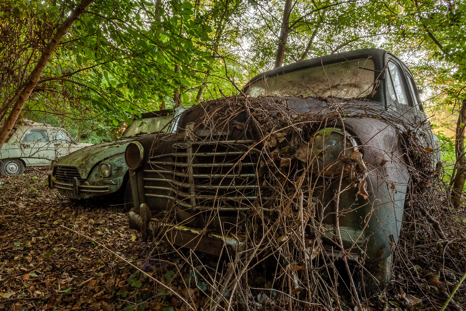 Nos Anciennes Abandonnées : les invisibles