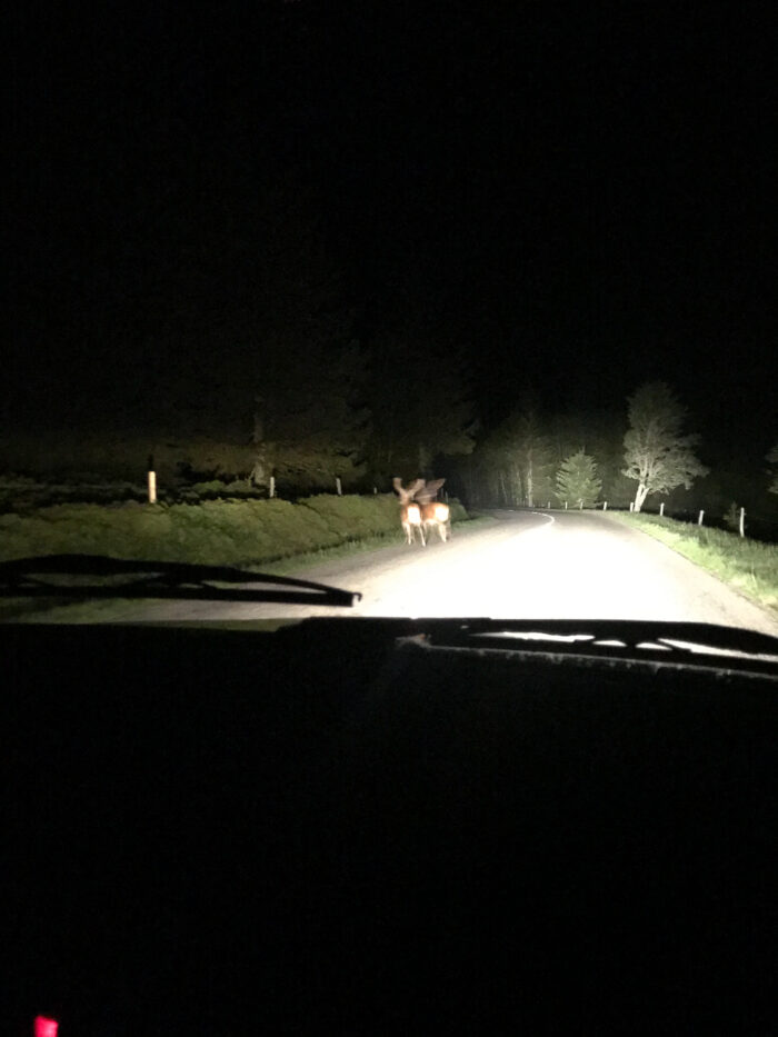 1000 Miles Challenge 71-
