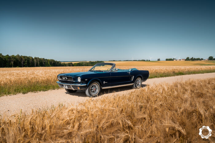 Ford Mustang Cabriolet 1966 par Mark pour News dAnciennes 8- Ford Mustang Cabriolet