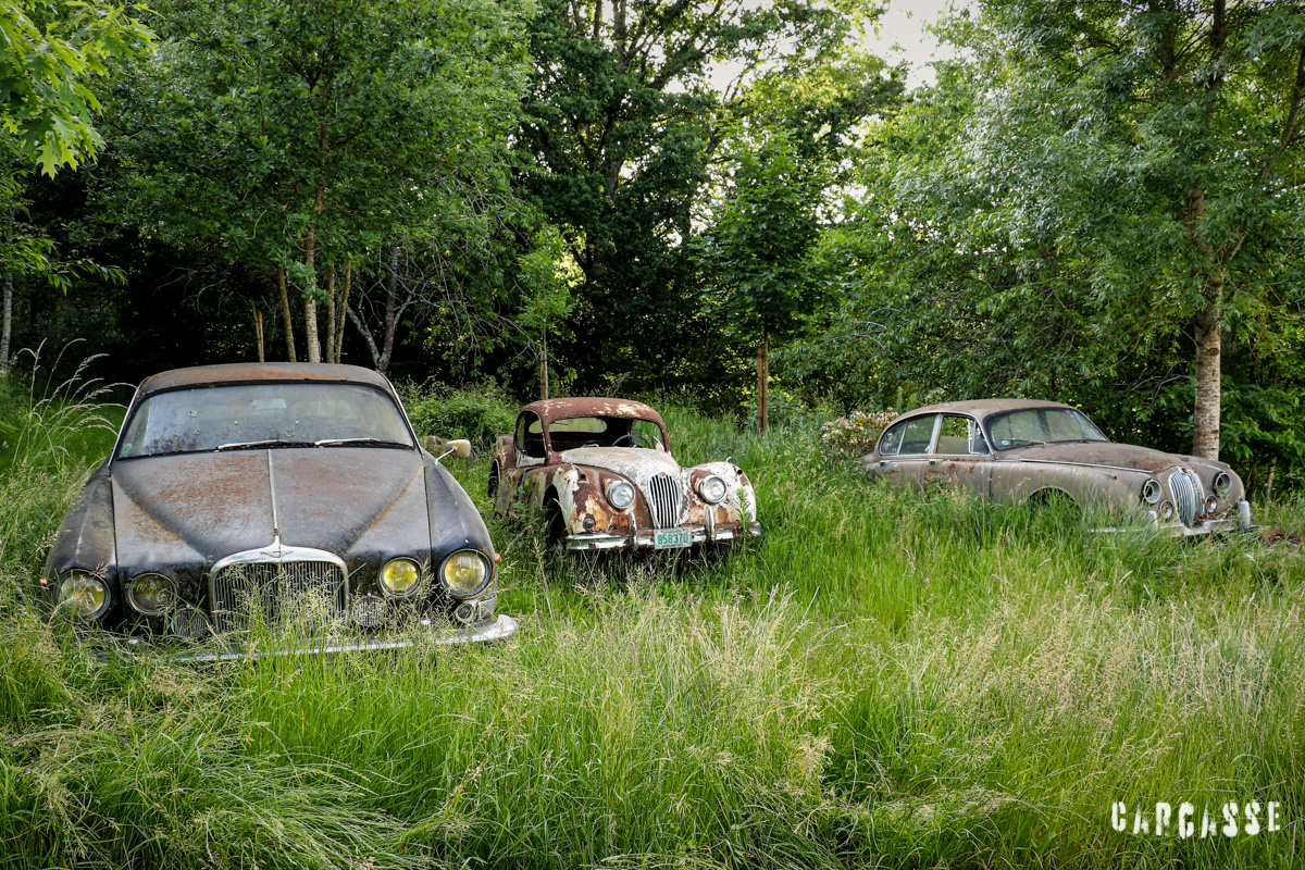 [Nos Anciennes Abandonnées] la Fauverie, le cimetière des Jaguar