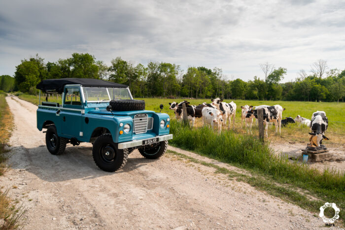 Land Rover Series par Mark pour News dAnciennes 1- Land Rover Series