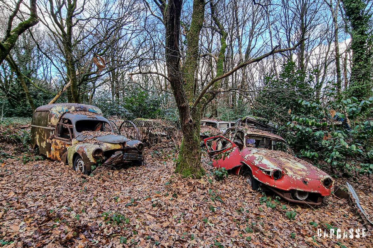[Nos Anciennes Abandonnées] Les popu françaises se cachent pour mourir