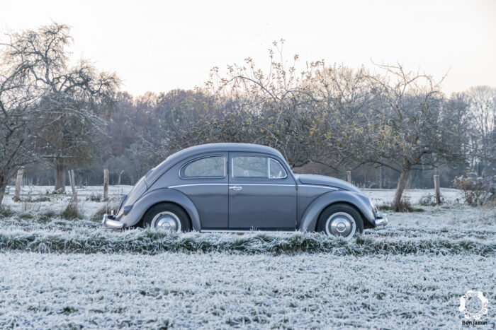 Volkswagen Coccinelle Ovale par News dAnciennes 33- Coccinelle Ovale