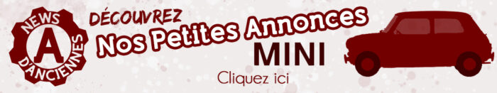 Banniere PA Mini- God Save the Car 2023