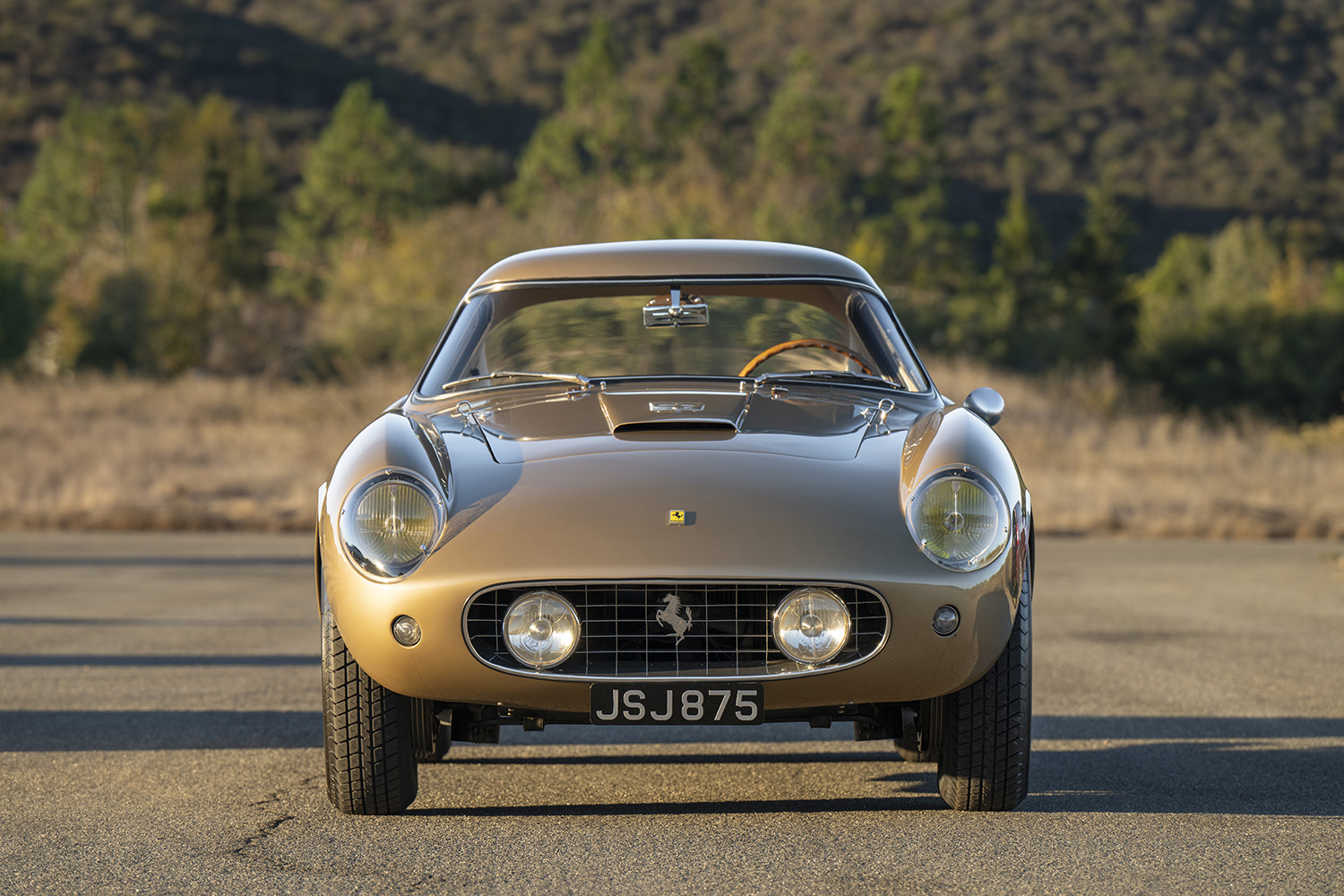 RM Sotheby&rsquo;s en Arizona, un catalogue ciblé pour lancer l&rsquo;année