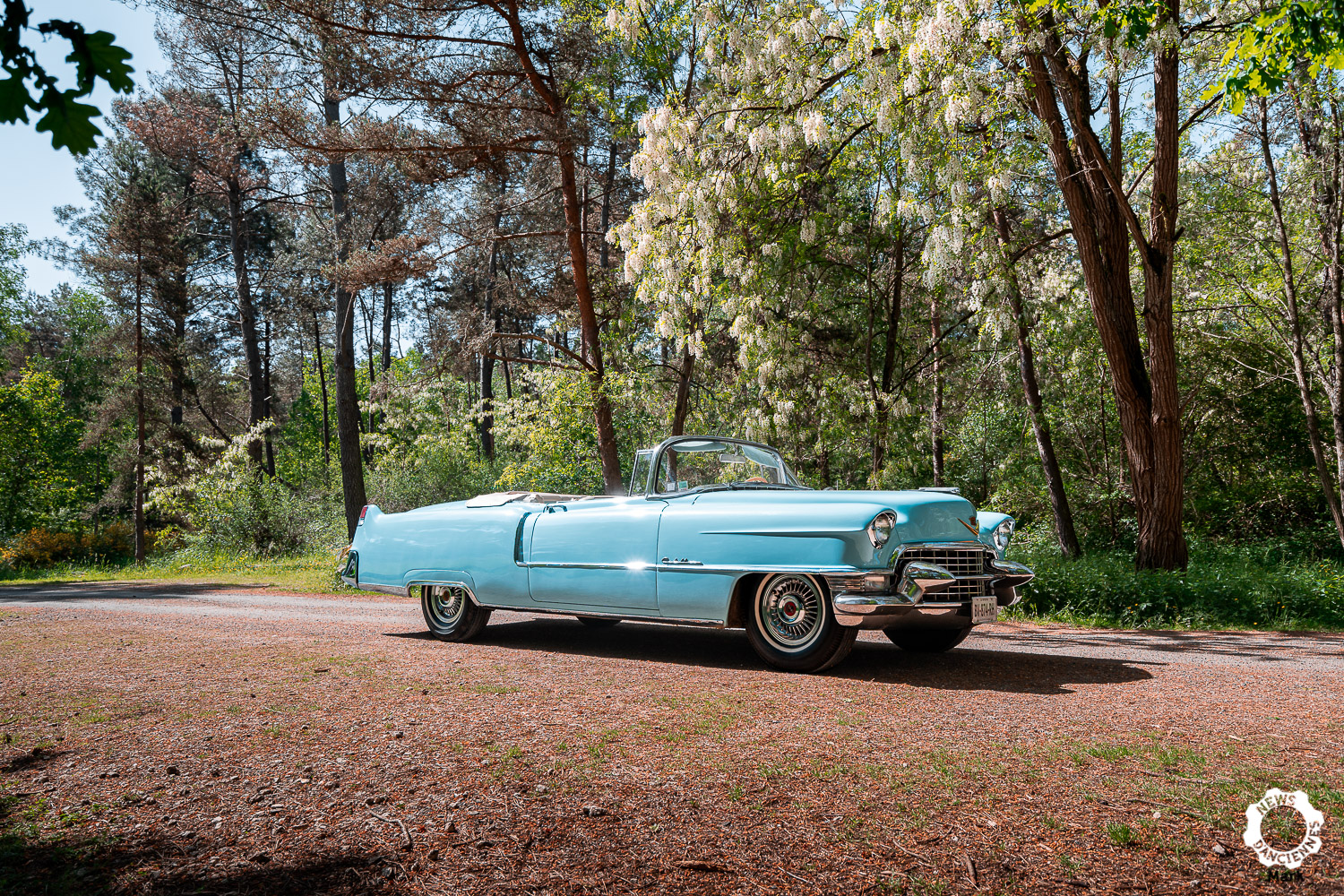 Au volant d&rsquo;une Cadillac Serie 62 Cabriolet, fidèle à son image