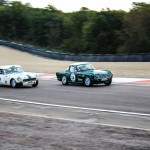 Dijon Motor Cup Triumph 6433- Dijon Motors