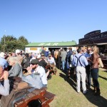 Goodwood Revival 2015
