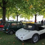 IMG 0973- British Car Show