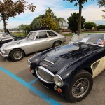 IMG 1106- British Car Show