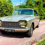 IMG 3906- Peugeot 204