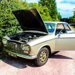 IMG 3916- Peugeot 204