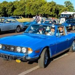 Stag 1-
