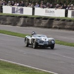 Type C Morrissette-