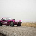 Vente RM Auctions Sothebys de Scottsdale Shelby Cobra 289 Dragonsnake- RM Auctions Sotheby's de Scottsdale