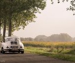 ed8d45dab9f0620f9475d2cd65abf69b- Porsche Classic